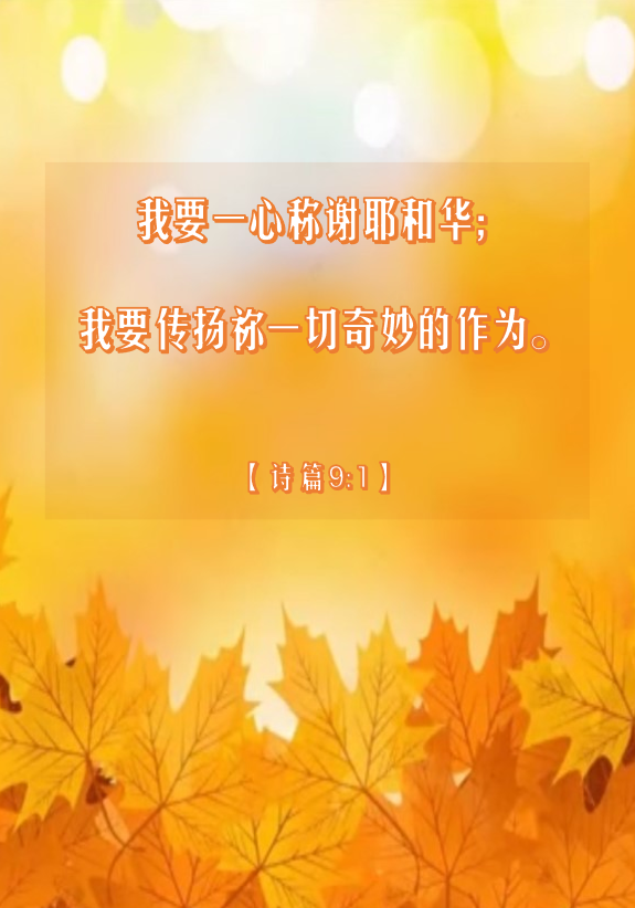 11-23-2023 11-23-2023