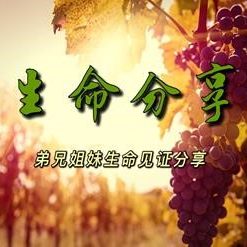 生命分享circle